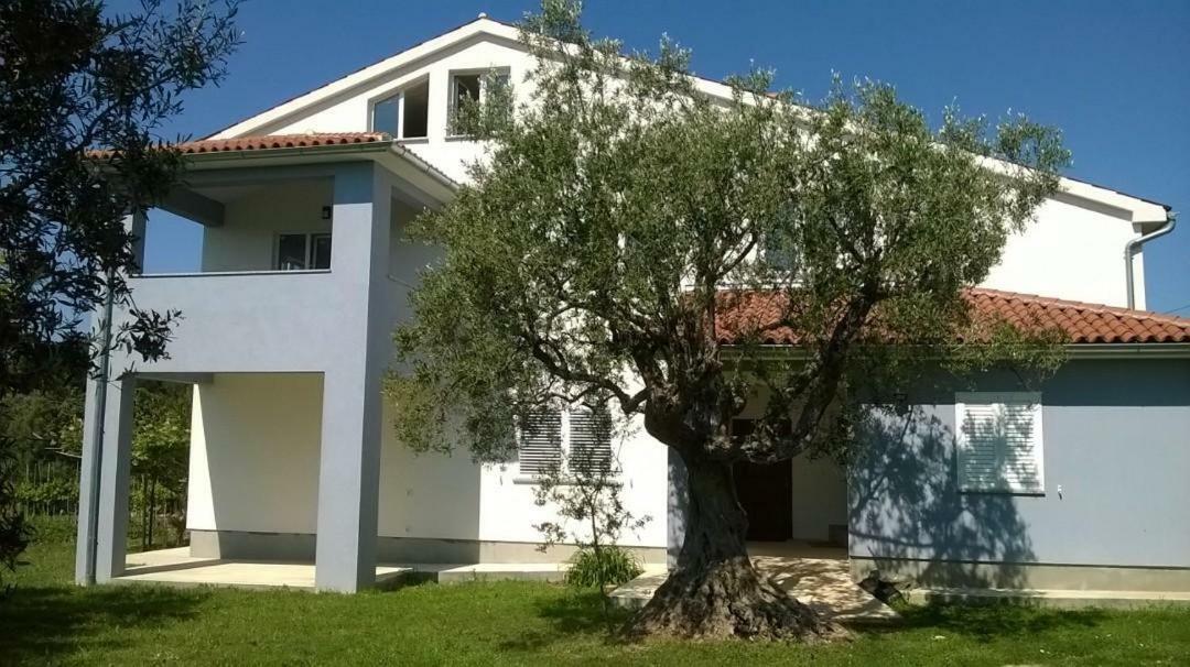 Apartments Villa Ulivo Фажана Екстер'єр фото